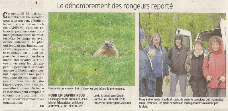 Marmottes 18 mai 2013 1 1