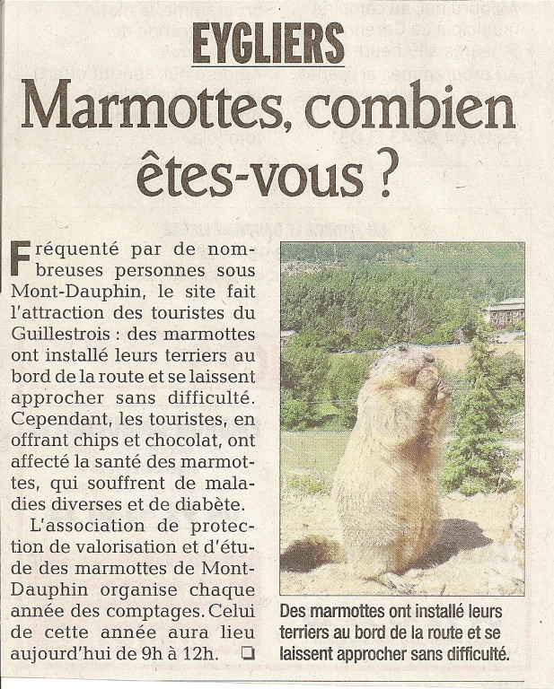 Marmottes 27 mai 2012 1