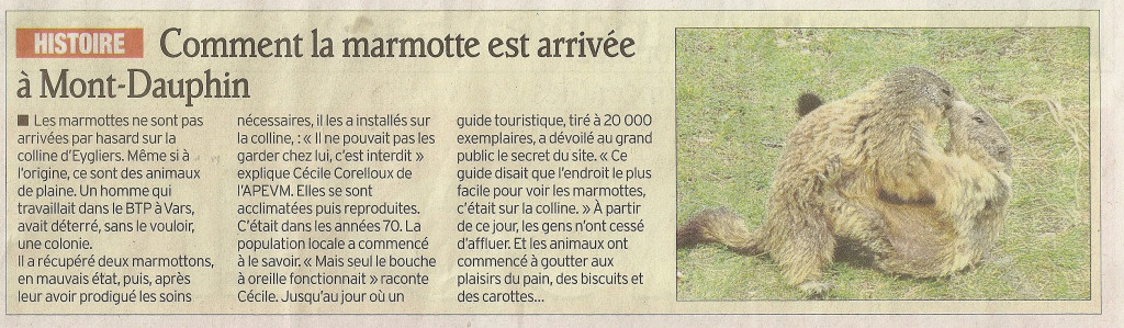 Marmottes 29 mai 2012 1 1