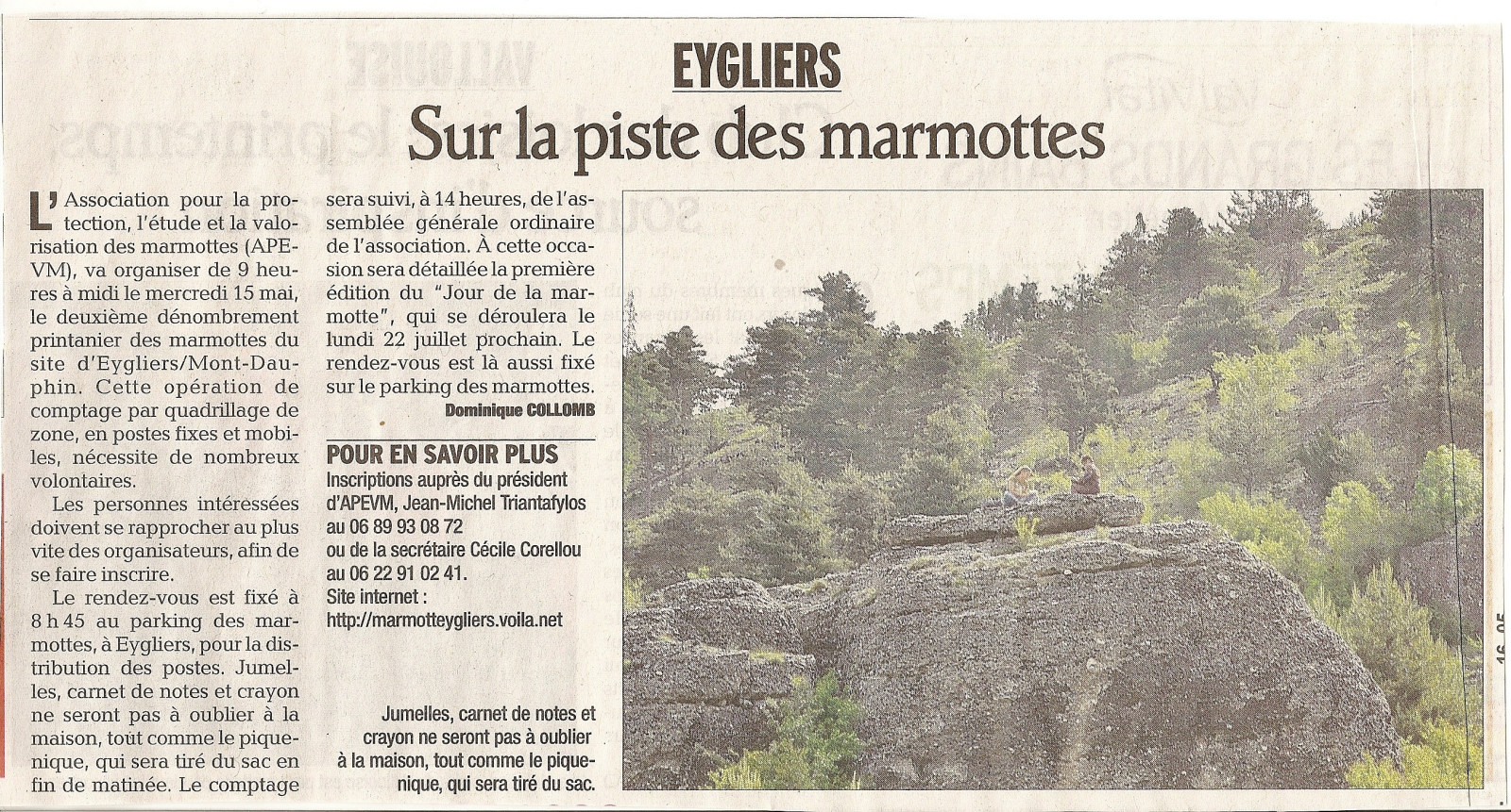 Marmottes 4 mai 2013 1
